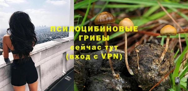 скорость Нея