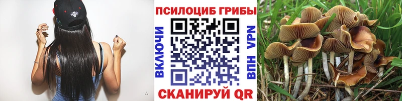 Галлюциногенные грибы мухоморы  Мамоново 