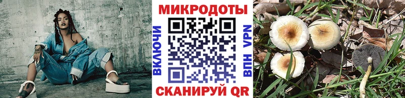 Галлюциногенные грибы ЛСД Мамоново